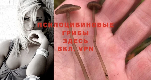 крисы Алзамай