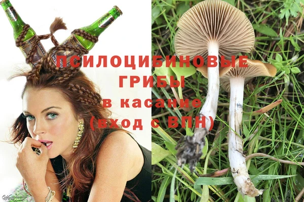 марки nbome Новодвинск