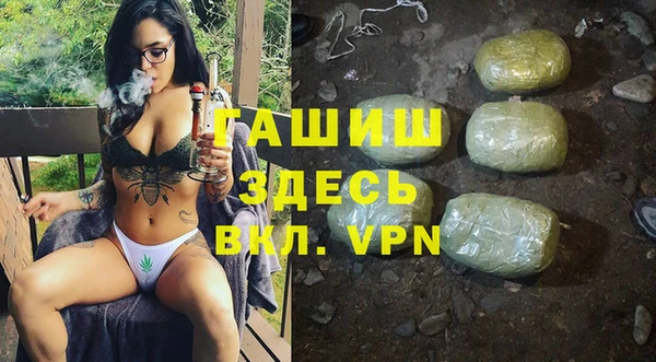 гидра Алексин