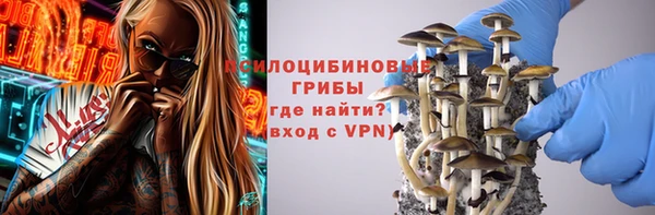 крисы Алзамай